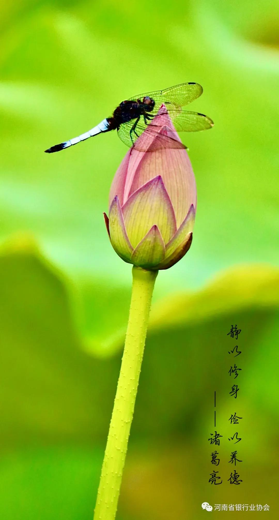 微信图片_20210115162342.jpg