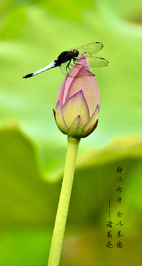 邮储银行常学祥.jpg